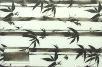 #010 - bambusowa wyprawa