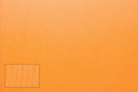 #017 - marchewkowe pole