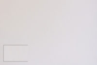 #067 - majtkowy róż